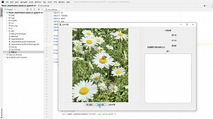 【鲲码园Python】基于pytorch的花卉分类系统(5类)_演示