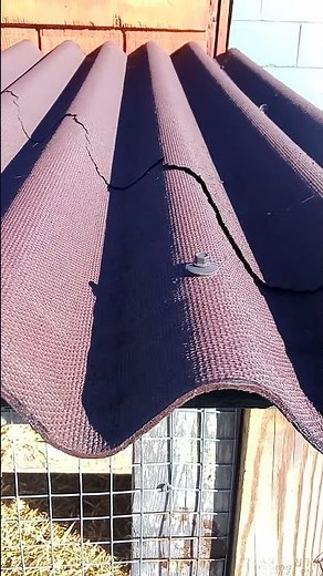 Ondura Roof failed already. Buyers beware. #shorts #short #rooftop