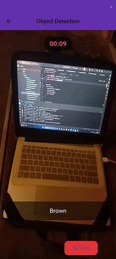 Real time object detection using google vision Api into flutter app #opencv #objectdetection
