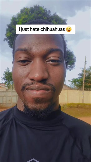 #stitch with @De sangre azul 💙 i just hate all these raging angry small tiny dogs #geniusbyfar