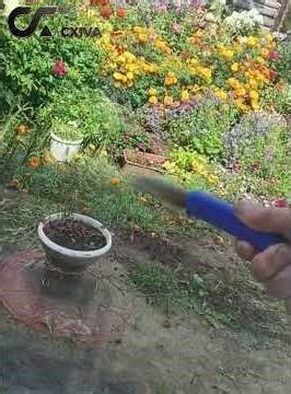 CXIVA Pulse Cleaner Training Video 2