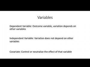 Interactive Decision Tree