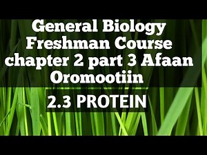 General Biology Freshman Course chapter 2 part 3; proteins lecture in Afaan Oromoo
