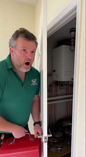 Look What My Plumber Found in my Boiler Cupboard #snake