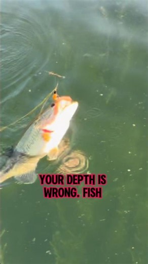 Adjusting Your BOBBER Depth For MORE Bites! 🎣 #shorts #fishing