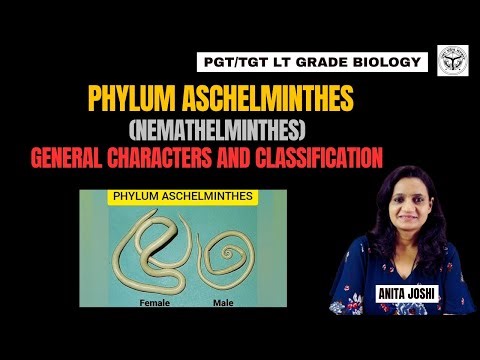 Phylum Aschelminthes (Round worms) | Nemathelminthes | UP LT Grade Biology Classes