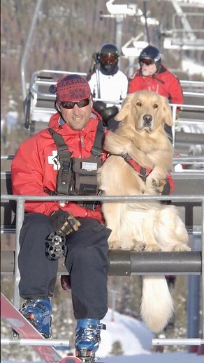 This Dog Left a Legacy on Vail Mountain...