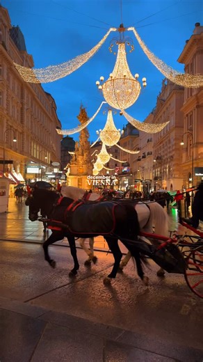 Christmas magic in Vienna ✨🎄⁠ ⁠ Vienna feels straight out of a fairytale during the holidays. I’ve visited a few times, but December will always be my favorite—there’s nothing quite like Christmas in this city.⁠ ⁠ Share this with someone you’d love to visit Vienna with this Christmas! ❤️⁠ ⁠ 𝐁𝐞𝐬𝐭 𝐭𝐡𝐢𝐧𝐠𝐬 𝐭𝐨 𝐝𝐨 𝐢𝐧 𝐕𝐢𝐞𝐧𝐧𝐚 𝐝𝐮𝐫𝐢𝐧𝐠 𝐂𝐡𝐫𝐢𝐬𝐭𝐦𝐚𝐬:⁠ ⁠ 🎄 Rathausplatz Christmas Market⁠ One of the most magical markets in Europe. Yes, it gets touristy—but for all the right 