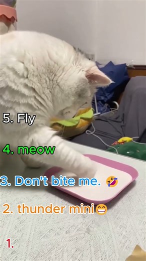 Top 5 Animal Fails That Went Viral 🤣🔥