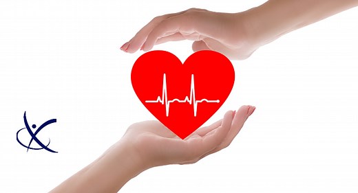 How Our Heart Rate at Rest and During Recovery Tells A Story