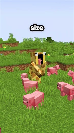 This player couldn't fit through nether portals on my Minecraft server #minecraft #server #smp