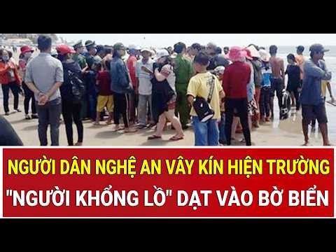 Close-up view of the "giant" that washed ashore: People in Nghe An province swarm the scene.