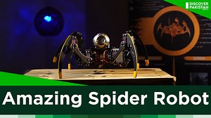 1.3K views · 66 reactions | A six-legged robot that replicates the movement of an actual insect #discoverpakistan #inventpakistan #sixlegrobort | Discover Pakistan | Facebook