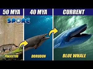 How Blue Whale Might Have Evolved, Simulated in SPORE