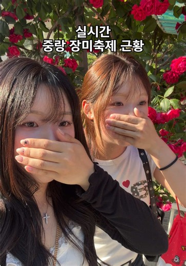 사람 진짜 많네요 ㄷㄷㄷㄷ #실시간 #중랑장미축제 #근황 #ㅊㅊ