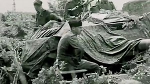 The ambush after Cobra: How two Panthers stalled an American advance