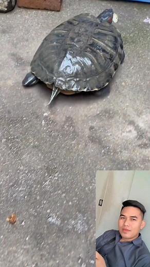 #videos #shareideas #entertainment #development #technology #knowledge #crafts #StarsEverywhere #shares #auto #carpolish | ពូ ហ៊រ-Vlog