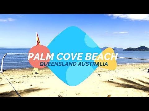 Palm Cove Beach, Queensland | Most Relaxing White Sand Beach in Australia 🌴🌊