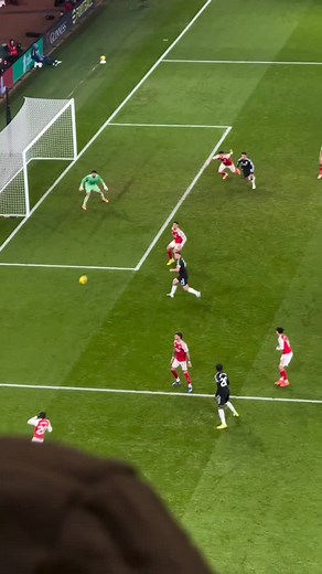 David Raya: The New Arsenal Goalkeeper in Action