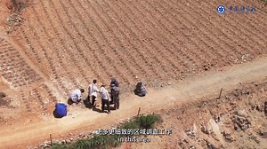 ❓Most of the fossils that paleontologists find are flattened. What tools and techniques are needed to extract information from them? 🔬Prof. LU Jing from the Chinese Academy of Sciences will take us to find out how to restore these flattened fossils back to their original state when they were alive. 🐟It's a journey back in time to trace the steps of our ancient aquatic ancestors and unravel the mysteries hidden within the Earth's strata. #CAS #ChineseAcademyOfSciences #fossil #life #evolution #