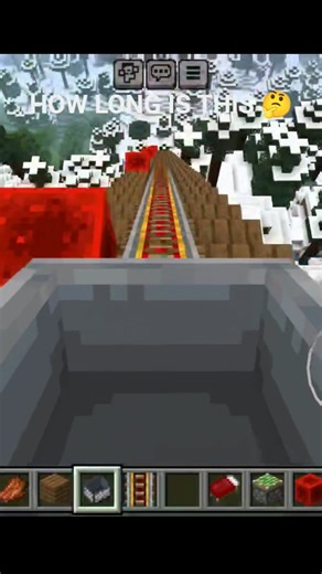 SALLU AND USSU ROLLER COASTER ON MINECRAFT