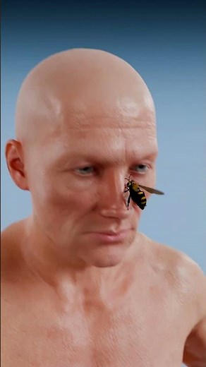 Bullet Ant Bite vs Snake Bite