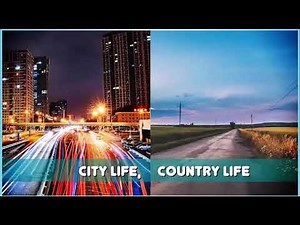 Excel 9. Module 3. City life, Country life