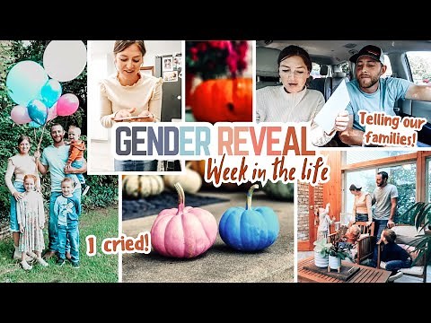 A Week in My Life: GENDER REVEAL, 20 week ultrasound, + telling our families | Mennonite Mom Life