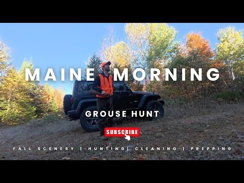 Maine Morning Grouse Hunt
