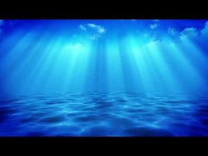 【フリー動画素材】海底 【ダウンロード可能】