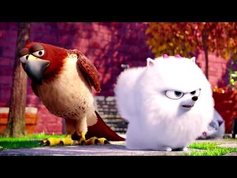 The Secret Life Of Pets Gidget Best Moments