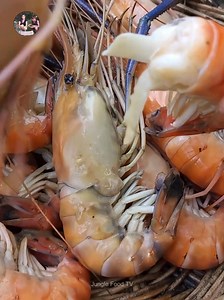 Lobster Lovers Rejoice! Big Lobster Boil & Eating Show Part 7 | Jungle Food TV