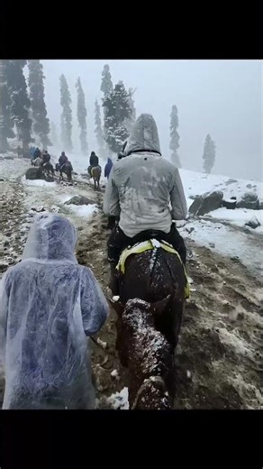 Horse Ride Conversations 🐎🔥 | Friends Talk | Sonamarg POV | Part 6