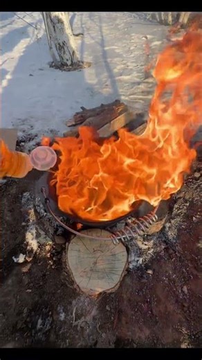 Top Camping Gear Must-Haves