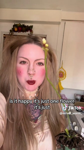 Its a very loooooong flower. This is the only one ive ever owned! #venusflytrap #plants