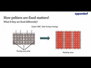 What prevents you from increasing your PCR productivity