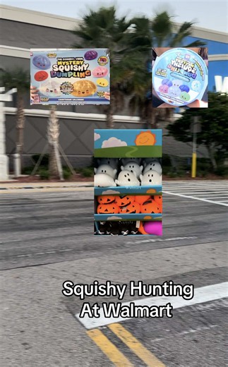 Squishy Hunting at Walmart: squishy hunting video