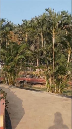 NTR garden #NTRgarden #garden #shorts #viralvideo #shots