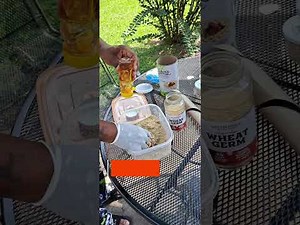 BREEDING Wax Worms The EASY WAY