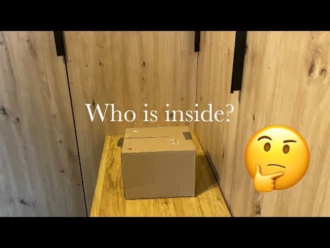 UNBOXING A NEW EXOTIC ANIMAL!😱🦂🕷️🕸️🐍