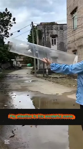 Check out this amazing mini vacuum technology in action! 🌀🔬 A little brother experiments with a small vacuum and a transparent pipe — and the results are mind-blowing. Crystals on the ground get sucked up instantly, filling the pipe like magic! 😱💨 This is a perfect example of how compact tech can have incredible suction power, showing that even small gadgets can create huge effects. 💥✨ Watch till the end to see the vacuum’s full power and discover the science behind this fascinating phenome