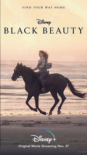 Best Horse Movies You Must Watch