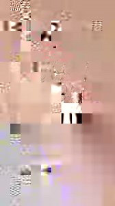 29 reactions · 115 shares | The best GPS Pet Tracker for pet lovers!   Live Tracking: Know where your pet is in real-time  Get alerted when your pet leaves the designated area  Track your pet's health and fitness levels  View all the places your pet has explored  100% Waterproof Join the thousands of pet lovers who trust Tractive to keep their pets safe. Order now and track your pet's adventures! | Tractive | Facebook