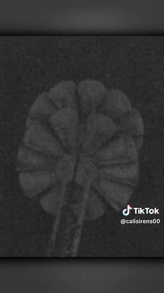 Experimenting with the Federal Signal 2T22 Siren at Night