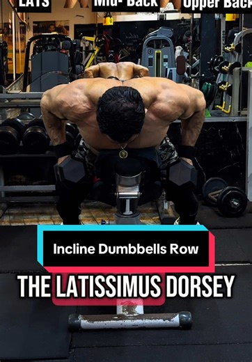 Incline Bench Dumbbell Row Variations for Back Gains