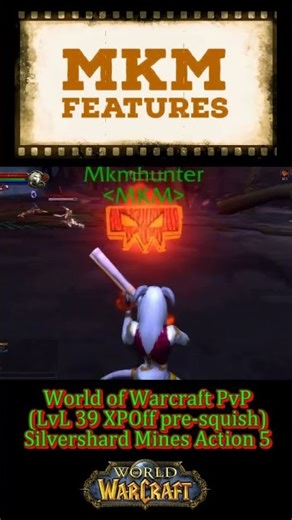 World of Warcraft |PvP| LvL39 BfA Twink | Silvershard Mines 05