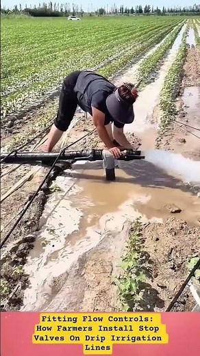 Fitting Flow Controls: How Farmers Install Stop Valves On Drip Irrigation Lines 😮😞 #shorts