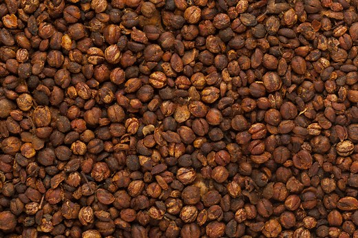 Malkangani Oil Benefits in Hindi | ज्योतिष्मती / मालकांगनी का उपयोग