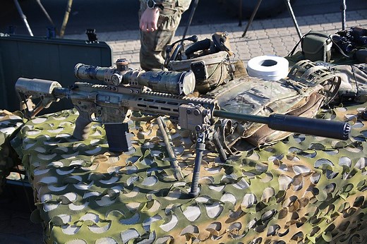 Colt Canada C20 DMR - Wikipedia Republished // WIKI 2