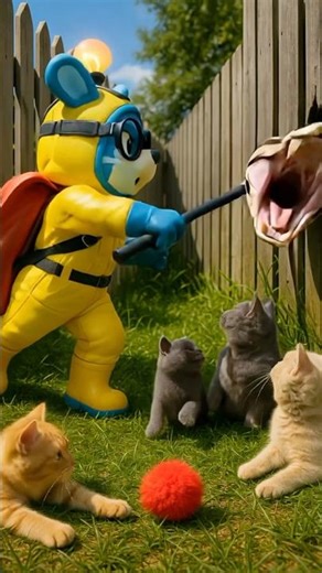 Biggest Python Caught by Snake Catcher BukiX